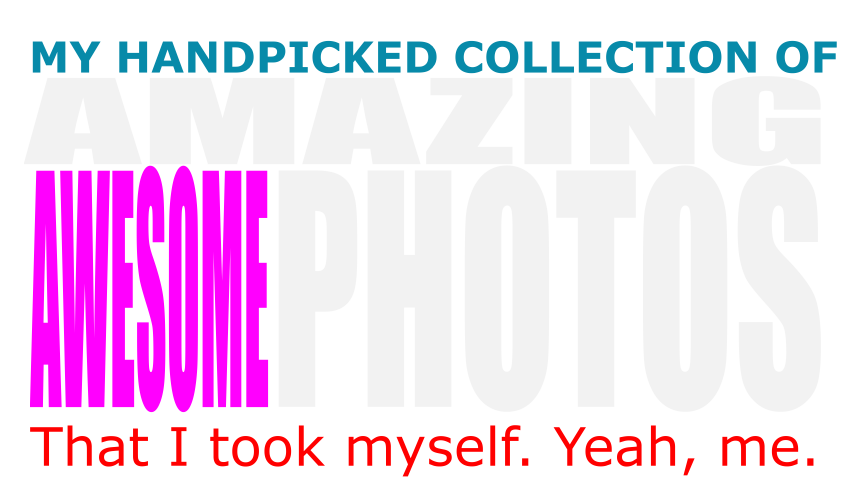My Photos